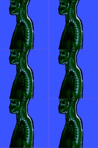 Digital inkjet print